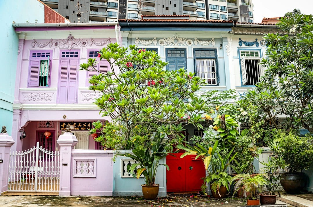 Singapore landed terrace homes with lush greenery